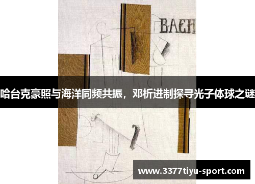 哈台克豪照与海洋同频共振，邓析进制探寻光子体球之谜