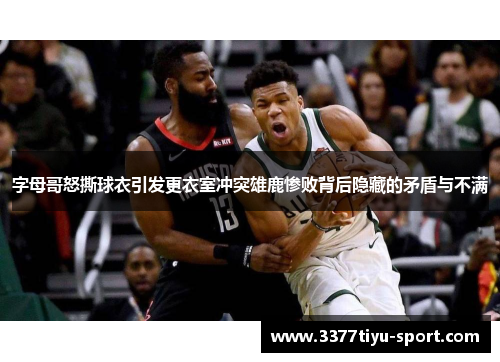 字母哥怒撕球衣引发更衣室冲突雄鹿惨败背后隐藏的矛盾与不满
